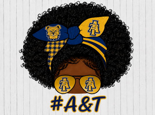 HBCU DTF HEAT TRANSFERS