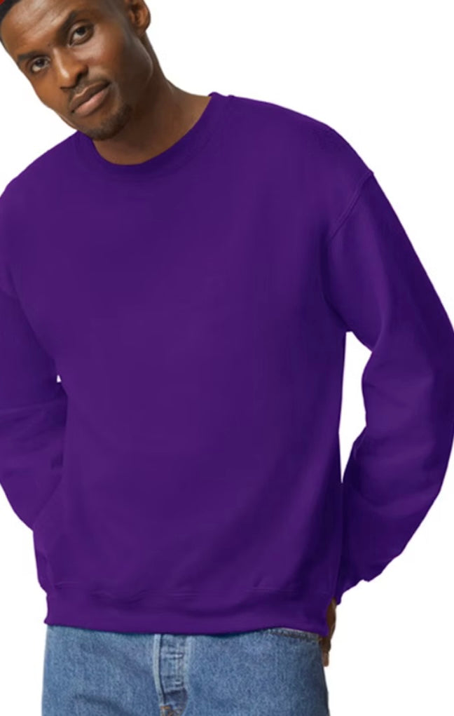 Live Sale Transfer Crewneck Sweatshirts